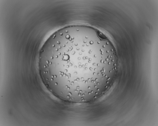 X0000113921390200910090927