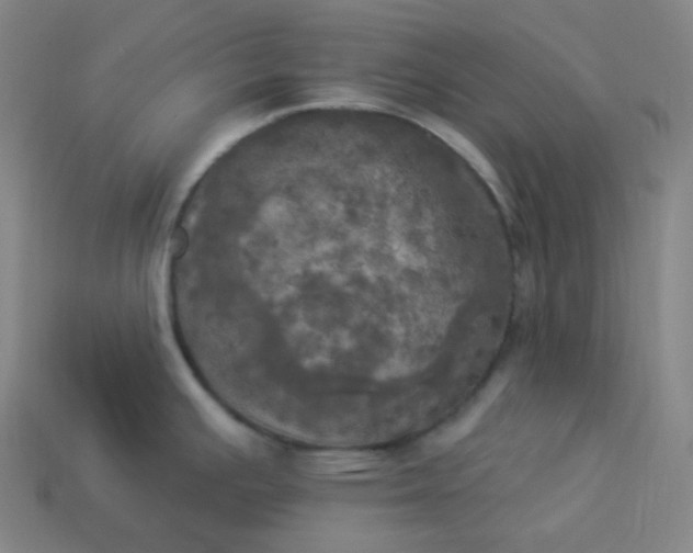 X0000113921391200910090927