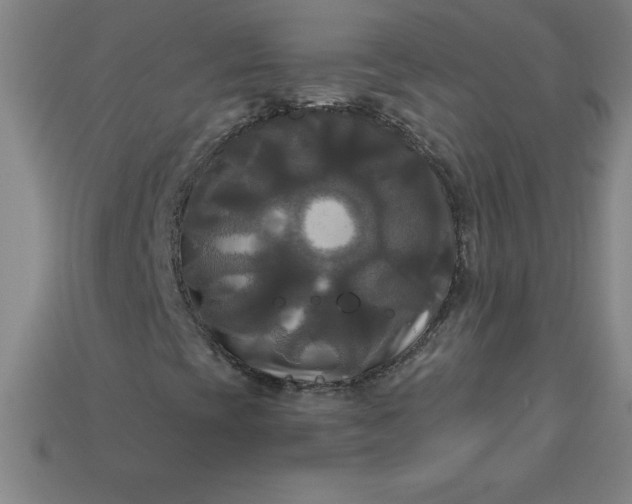 X0000113921393200910090926