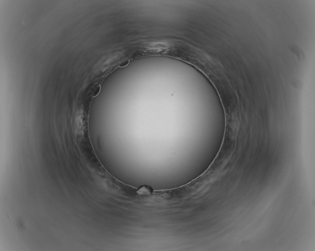 X0000113921394200910090926