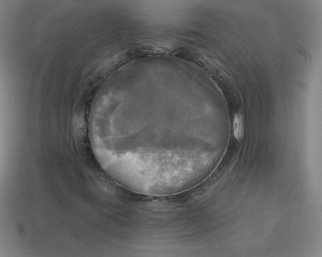 X0000113921395200910090926