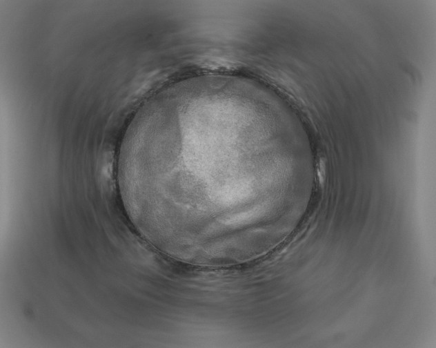 X0000113921396200910090926