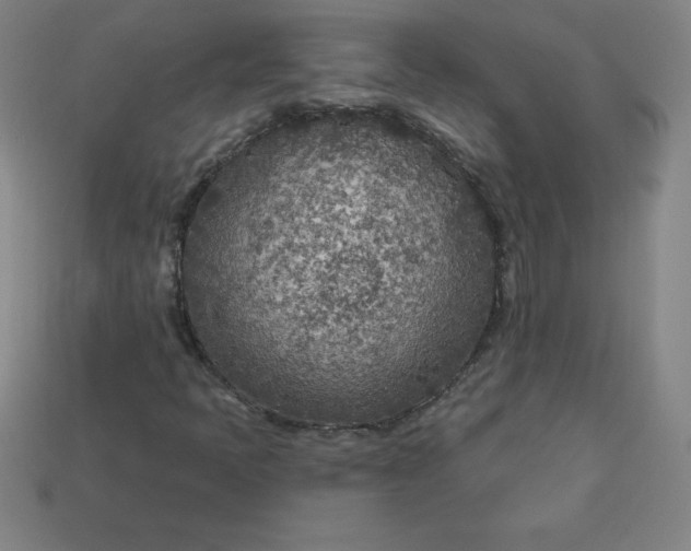 X0000113921397200910090926