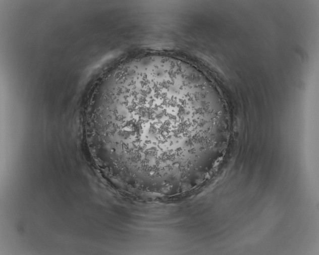X0000113921398200910090926