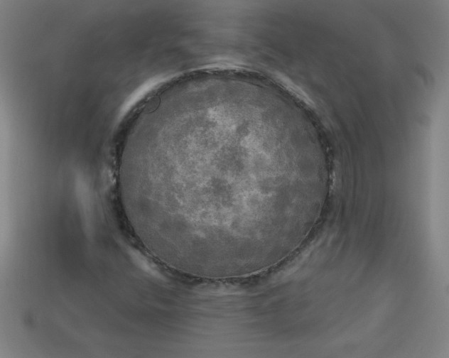 X0000113921400200910090926