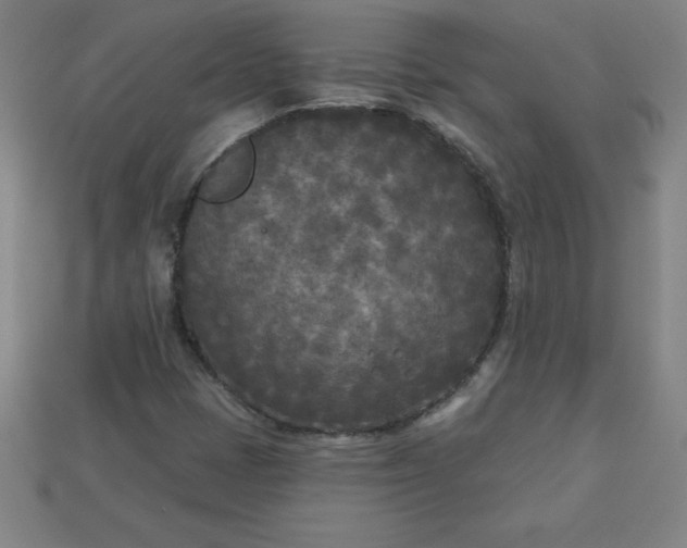 X0000113921401200910090926