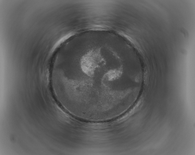X0000113921402200910090926