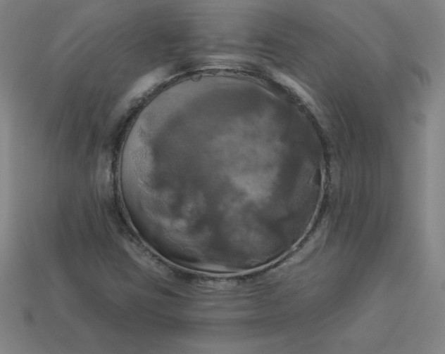 X0000113921403200910090926