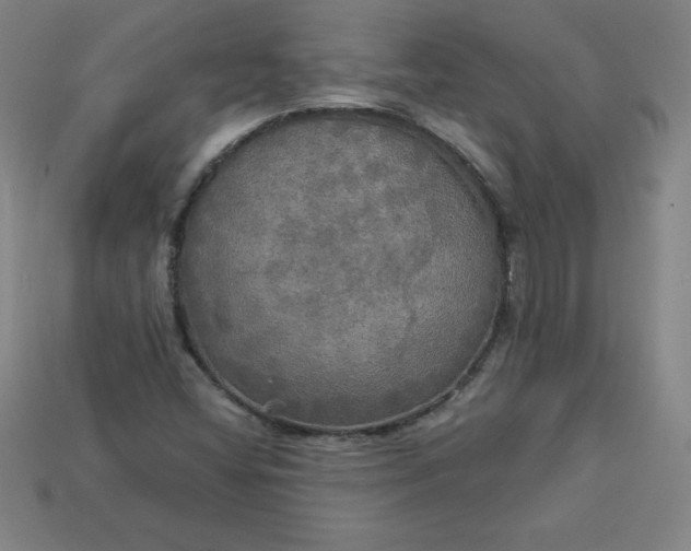X0000113921404200910090927