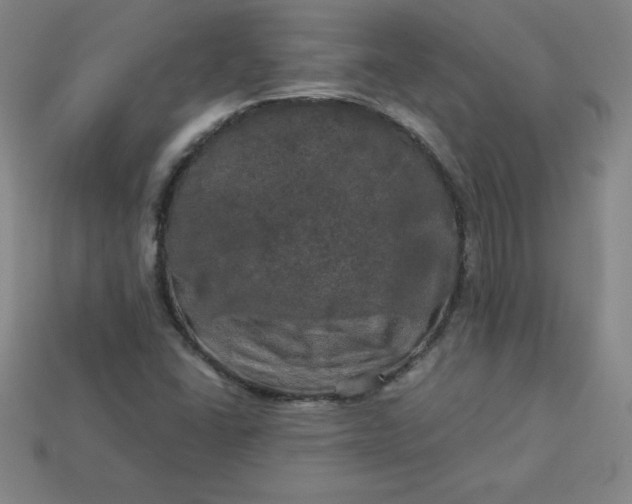 X0000113921406200910090927
