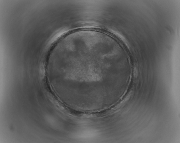 X0000113921407200910090927