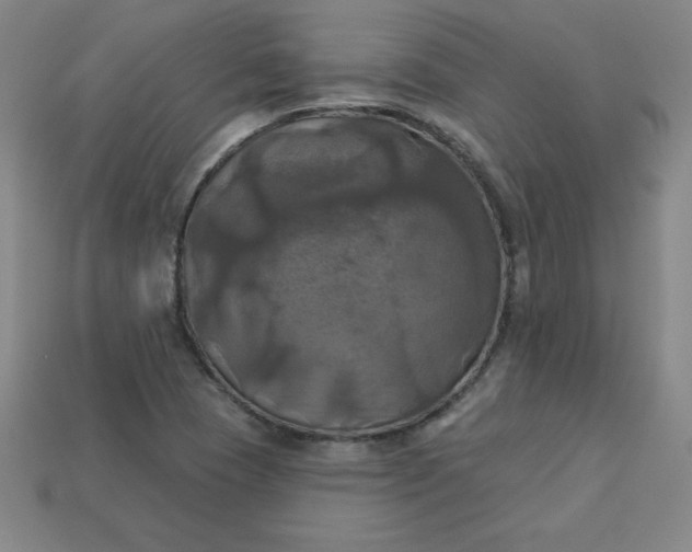 X0000113921409200910090927