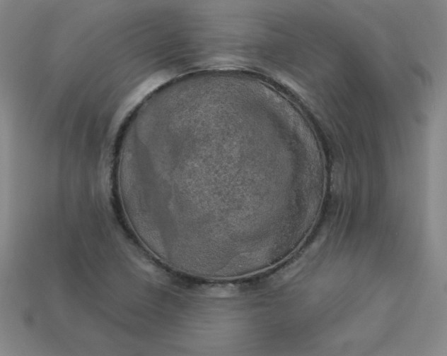 X0000113921410200910090927