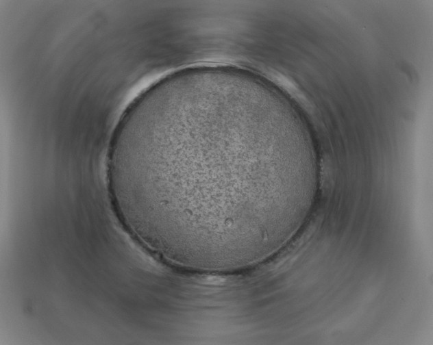 X0000113921412200910090927