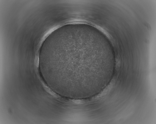 X0000113921413200910090927