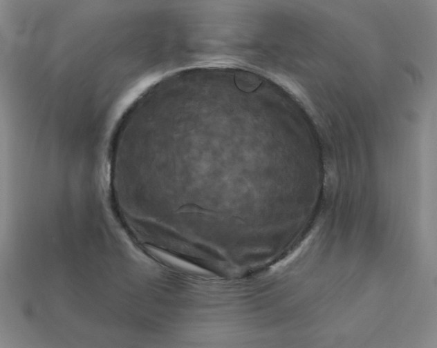 X0000113921414200910090927