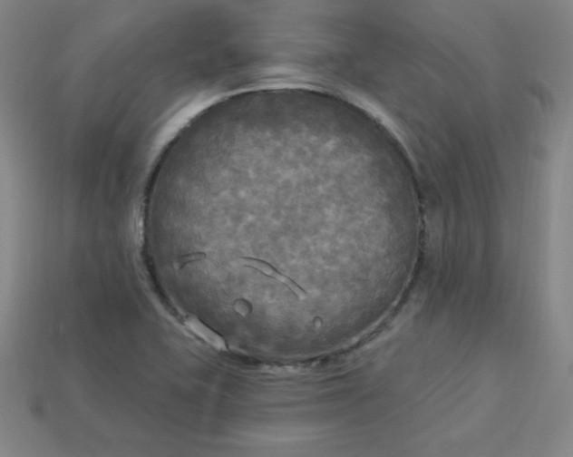 X0000113921415200910090927