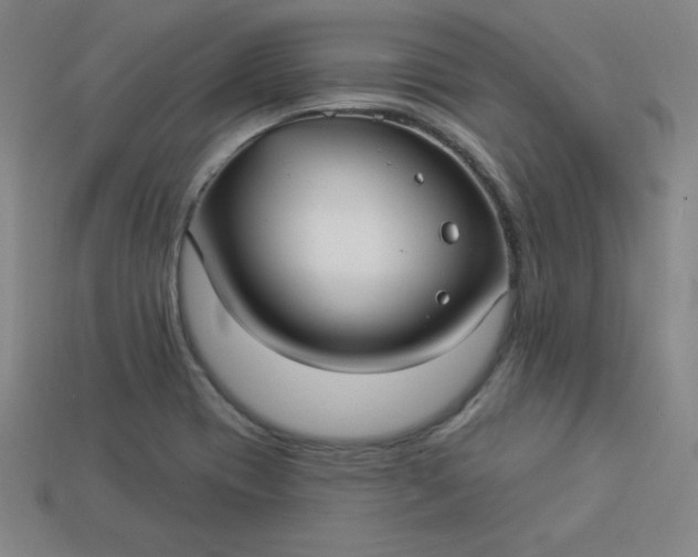 X0000113921417200910090927