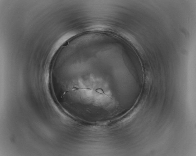 X0000113921418200910090927