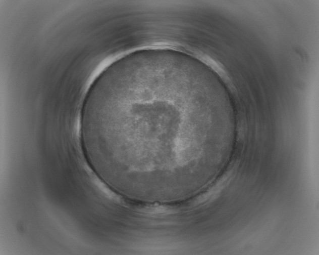 X0000113921420200910090927