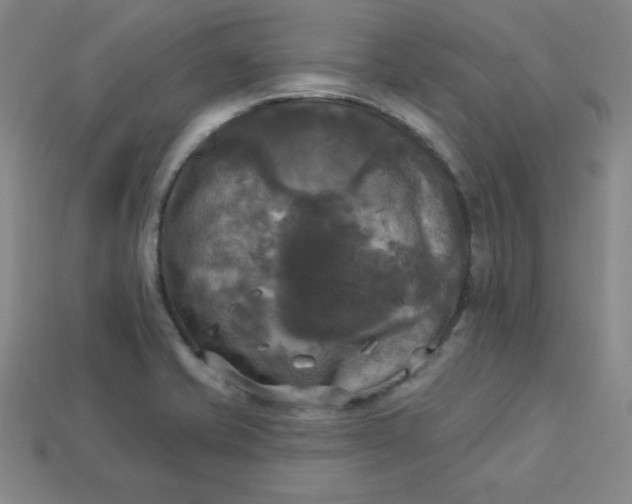X0000113921421200910090927