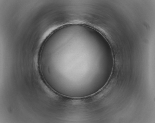 X0000113921422200910090927
