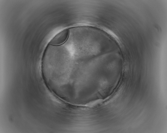 X0000113921423200910090927