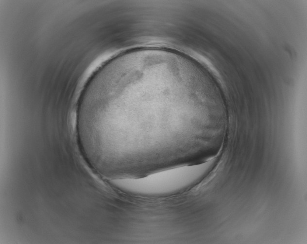X0000113921424200910090927