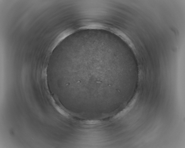 X0000113921425200910090927