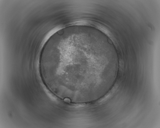 X0000113921426200910090927