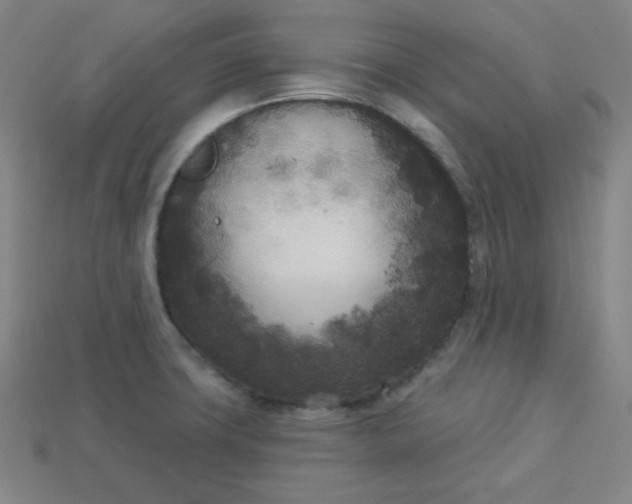 X0000113921427200910090927
