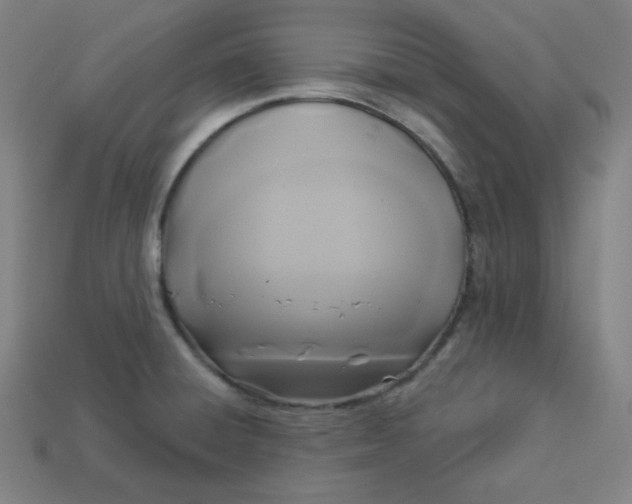X0000113921428200910090927