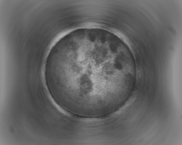 X0000113921429200910090927