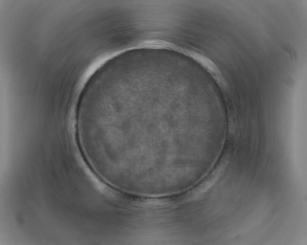 X0000113921430200910090927