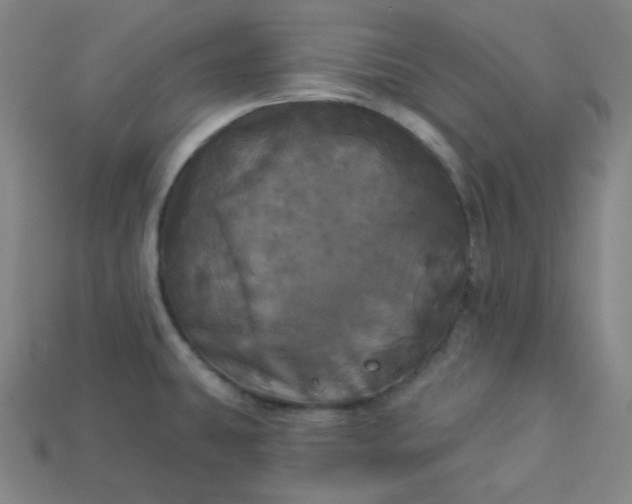 X0000113921431200910090927