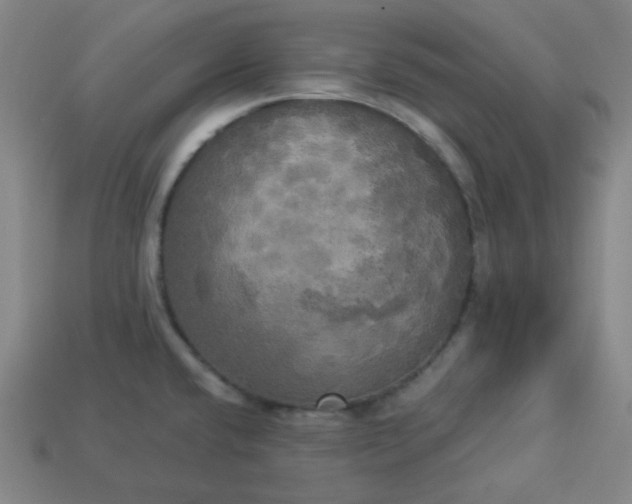 X0000113921432200910090927