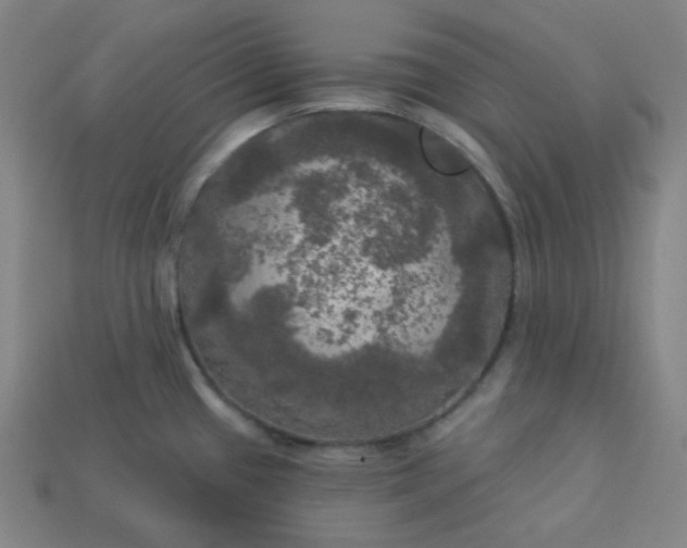X0000113921433200910090927