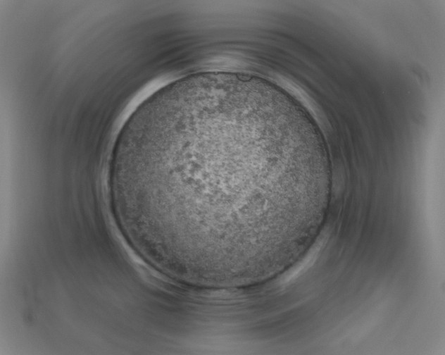 X0000113921434200910090927