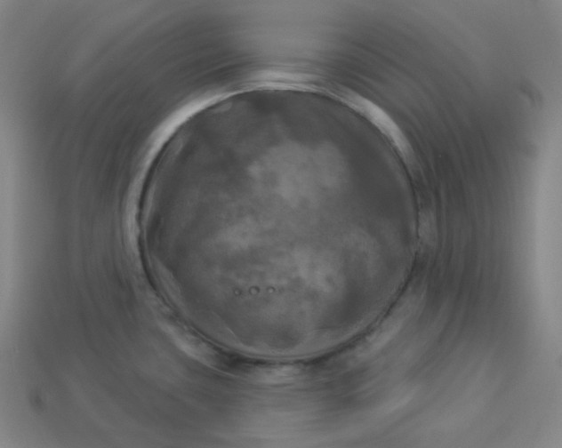X0000113921435200910090927