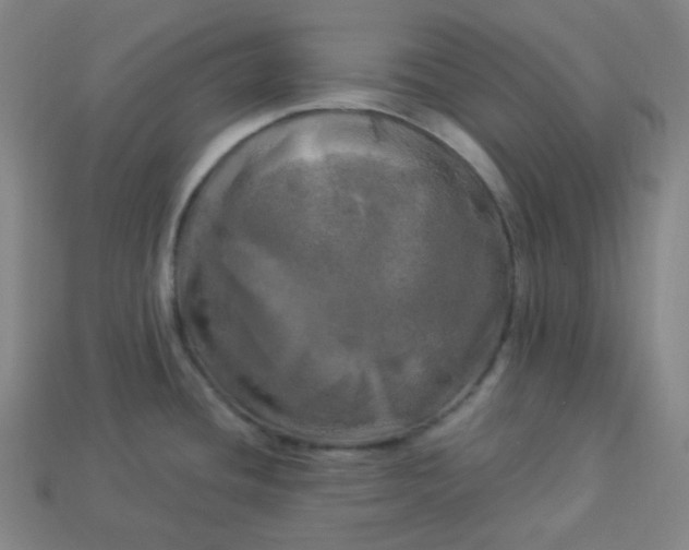 X0000113921436200910090927