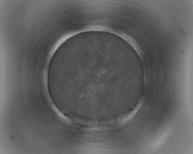 X0000113921438200910090927