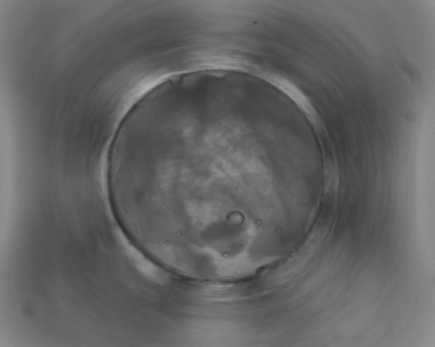 X0000113921439200910090927