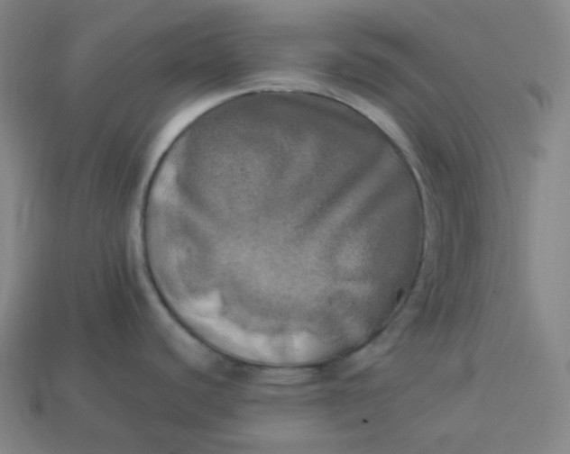 X0000113921440200910090927