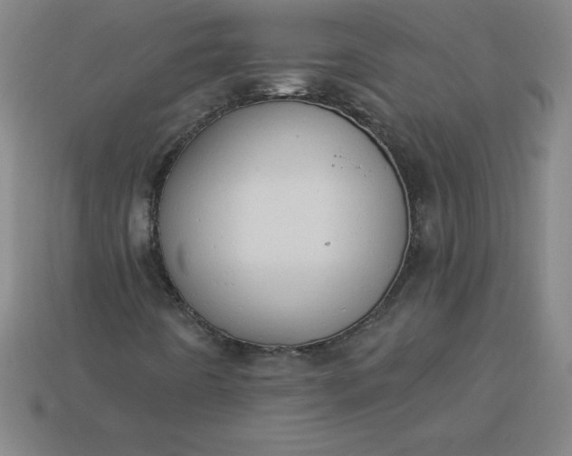 X0000113921442200910090926