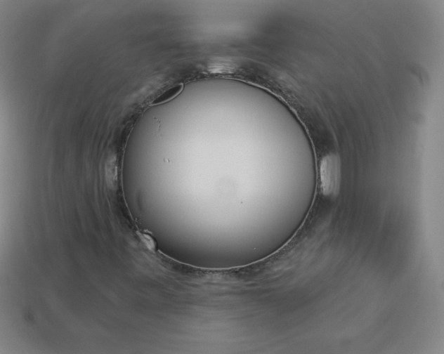 X0000113921443200910090926