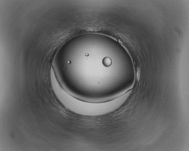 X0000113921444200910090926