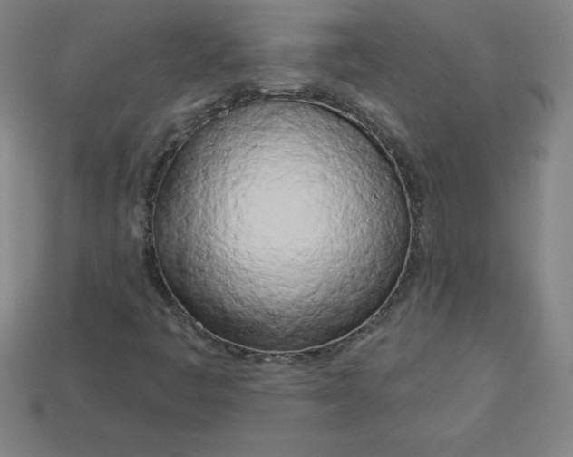 X0000113921445200910090926