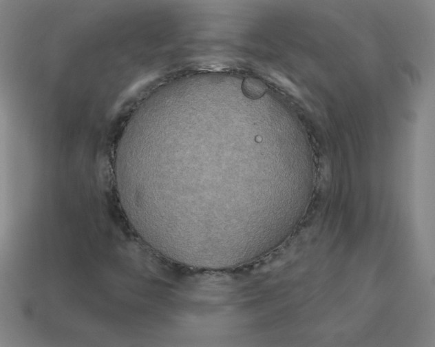 X0000113921446200910090926