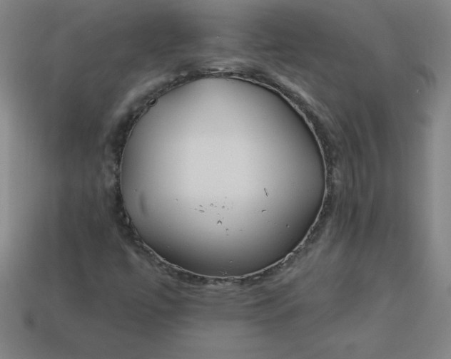 X0000113921447200910090926