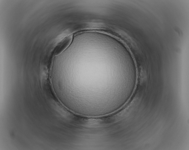 X0000113921449200910090926